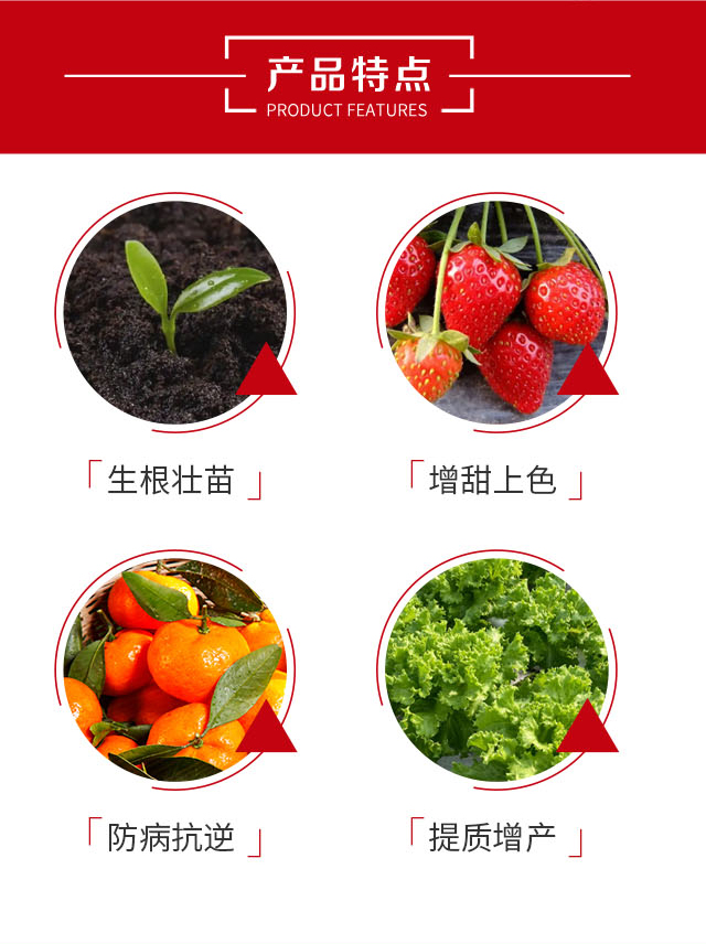 豐惠寶-盟邦_03