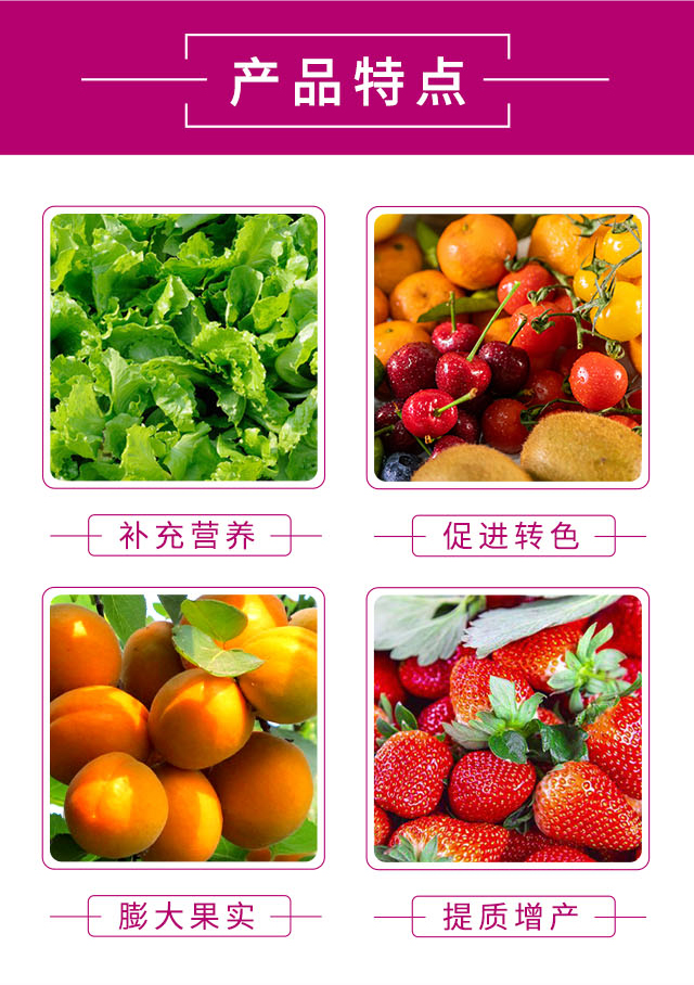 ����t-�֠���(y��u)_03