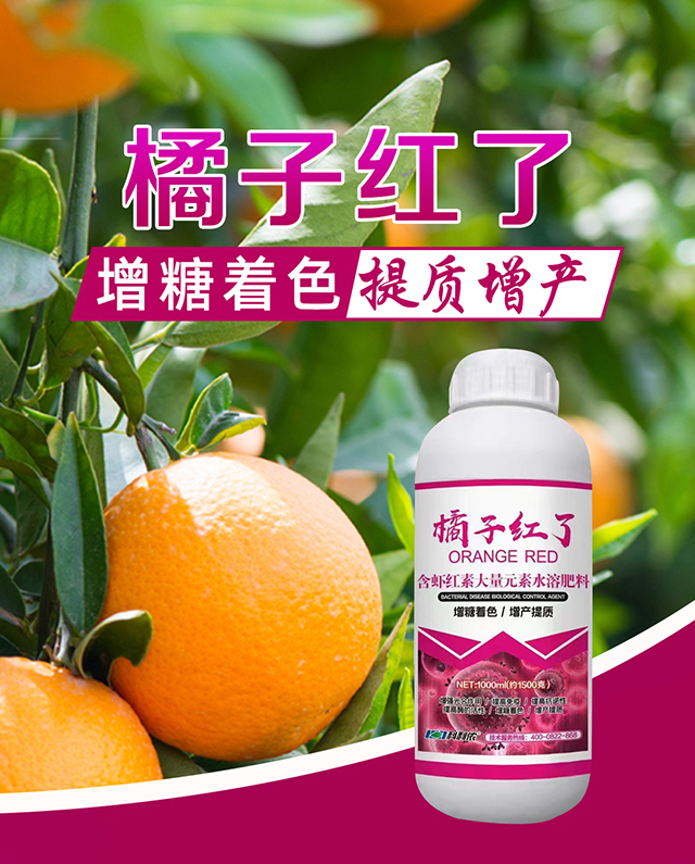 橘子紅了-科利農_01