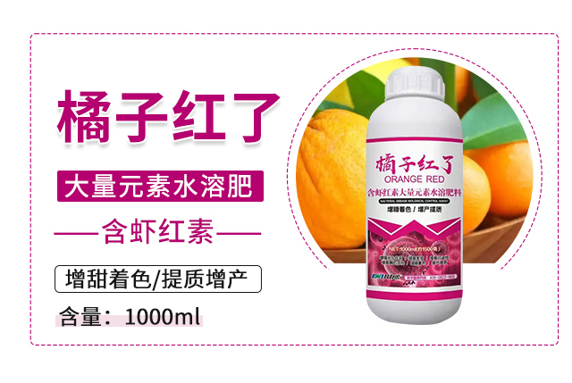 橘子紅了-科利農_03