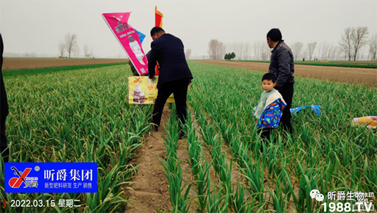 作物落花落果、座果低不用急!激發(fā)潛能,促花座果的秘訣在這!