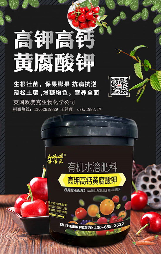 一袋黃腐酸鉀=生根＋土壤改良＋有機(jī)肥！黃腐酸鉀為何如此神奇？