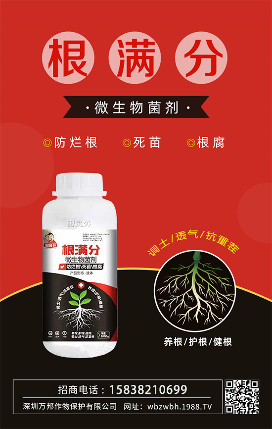 作物死苗爛根多，發(fā)育不良怎么辦！如何拯救作物根系？