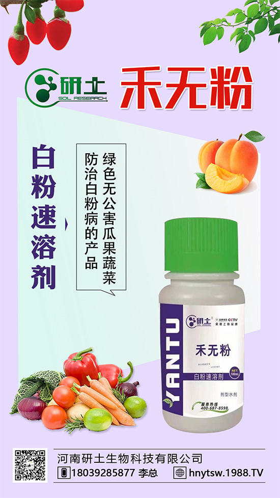 葡萄白粉病即將爆發(fā)！如何巧妙分辨白粉??？