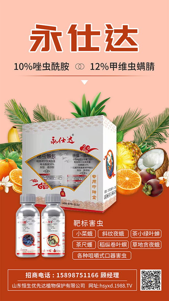 小菜蛾為何防治難？小菜蛾危害癥狀及防治措施！