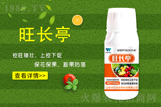 什么是黃瓜旺長？黃瓜旺長的防控措施