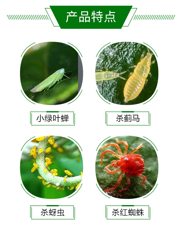 20%噻蟲(chóng)·高氯氟（紅）-藍(lán)虎_03