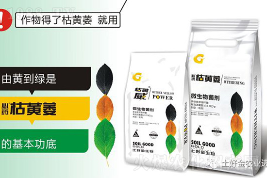 枯黃萎、立枯等病害怎樣滅殺？用它就夠了！