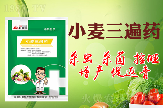 小麥巧打三遍藥抗病增產(chǎn)有奇效！小麥三遍藥什么時(shí)候打？