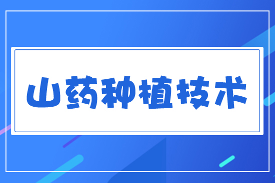 ɽˎ�Nֲ���g(sh��)