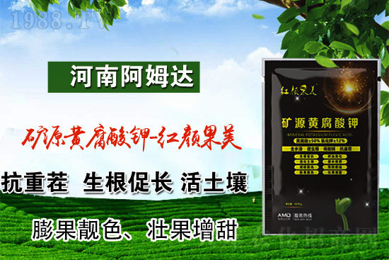鉀肥價(jià)格回暖？4月16日鉀肥價(jià)格行情
