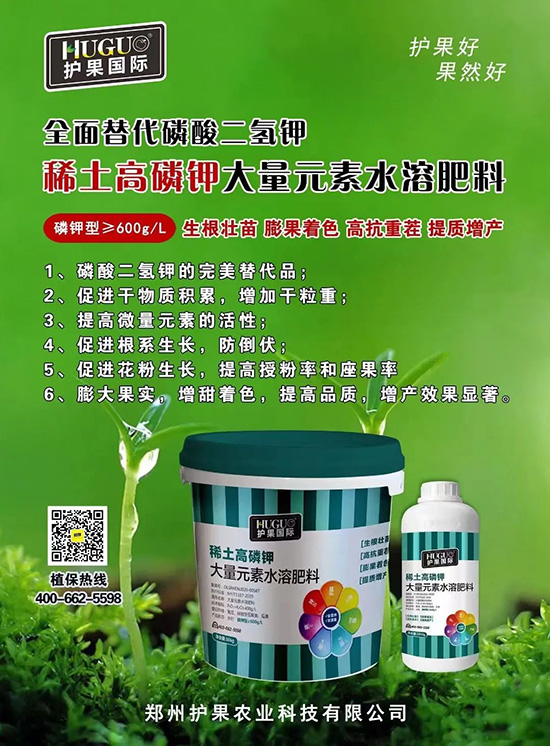 ⛷ʴ�q�r(ji��)���@�N⛷����(sh��)���������������������ռ���f(w��n)�Ј�(ch��ng)