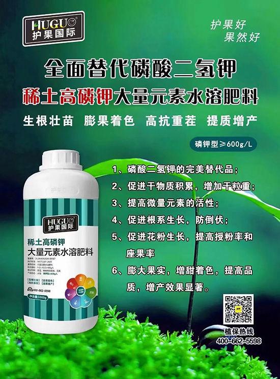 ⛷ʴ�q�r(ji��)���@�N⛷����(sh��)���ϣ����������������ռ���f(w��n)�Ј�(ch��ng)