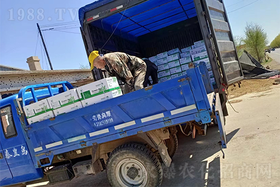 暢銷爆品！實(shí)力廠家！格瑞卡2號(hào)發(fā)貨不停歇