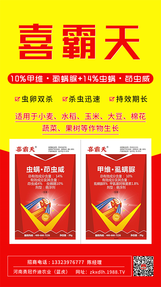 小菜蛾、菜青蟲危害重太難打？這樣用藥！一打一個準!