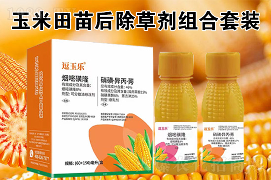 玉米除草劑怎么打才又有效？