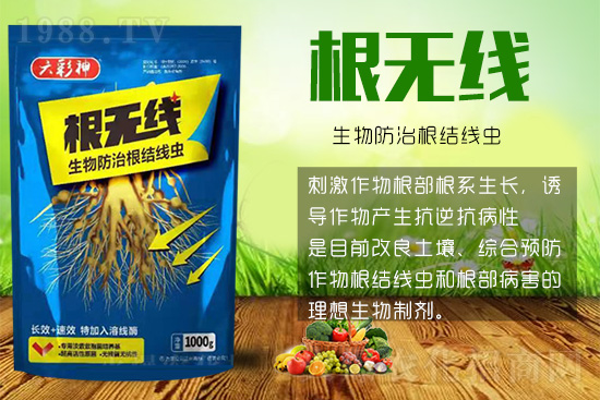 根結(jié)線蟲殺死容易殺絕難！這樣防治效果好到驚人！