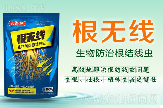 根結(jié)線蟲殺死容易殺絕難！這樣防治效果好到驚人！