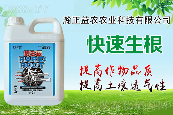 作物根系決定作物產(chǎn)量！這樣做，根系發(fā)達(dá)，白根多，用肥少！