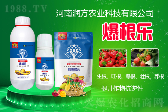     河南潤方農(nóng)業(yè)科技有限公司【微生物菌劑-爆根樂-土草帽】可幫助植物建立強壯強大的根系，促進植物對土壤養(yǎng)分、水分與氣體的吸收利用。生根、旺根、爆根、壯根、養(yǎng)根，增強抗逆性。