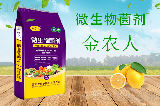 甜瓜枯萎病危害期，怎么有效防治？