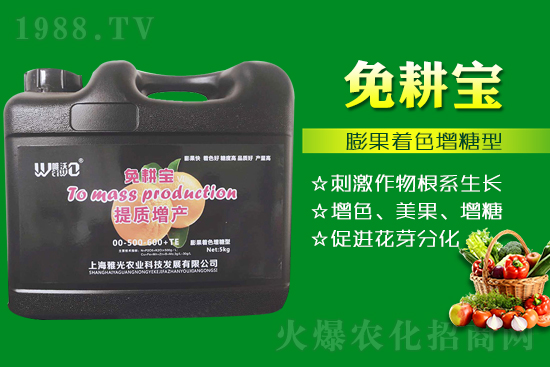 ���Ѵ߼t��ʩ��ô������ʲô���ɣ�