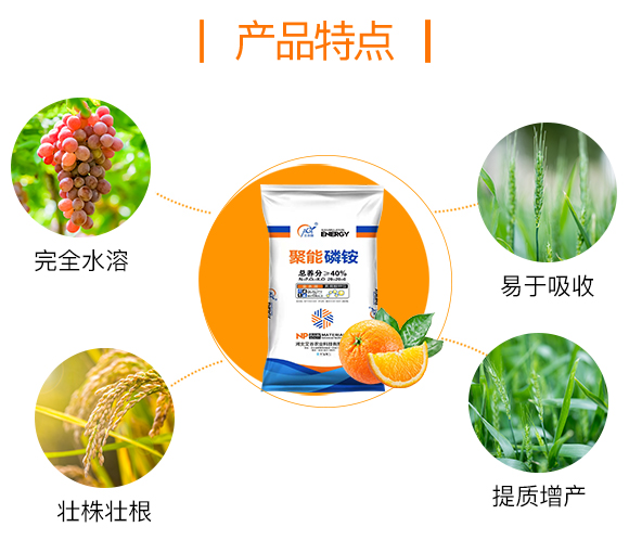 �ӱ������r(n��ng)�I(y��)�Ƽ����޹�˾_03