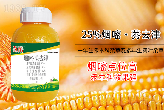 玉米除草，別用這幾種除草劑！