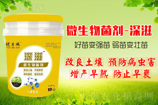 作物如何爆發(fā)式生根呢？生根養(yǎng)根方案快來看！