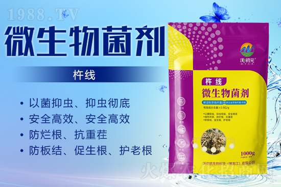 作物的根系，決定作物的產(chǎn)量