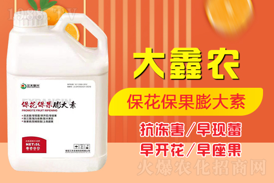 夏季保果膨大少不了，如何保果膨大？