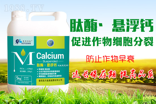 �O���仨���a(b��)�}���P(gu��n)�I���O���a(b��)�}���Ă�(g��)�`�^(q��)��֪������