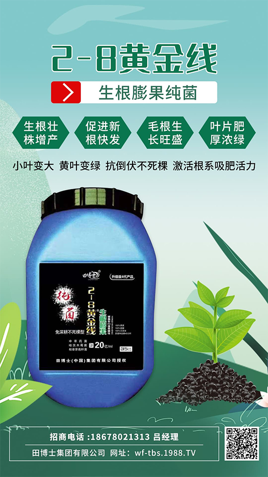 根是肥的嘴，萬物生長靠根系！作物爆發(fā)生根試試這一招! 