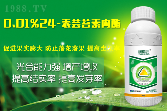 蕓苔素內(nèi)酯竟然有這么多作用！這樣搭配解決膨果增產(chǎn)難題！