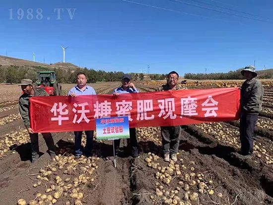     這款糖蜜肥農(nóng)資圈瘋傳！原料天然，低成本高肥效開創(chuàng)者！