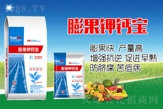 柑橘進(jìn)入膨大期，如何提升“顏值”？這個方案值得擁有！