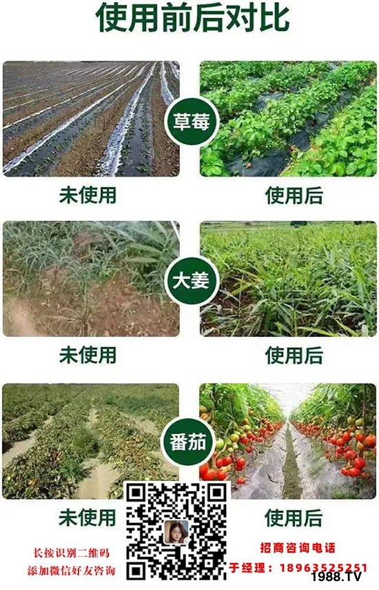 沃爾優(yōu)生物科技（黑龍江）有限公司14