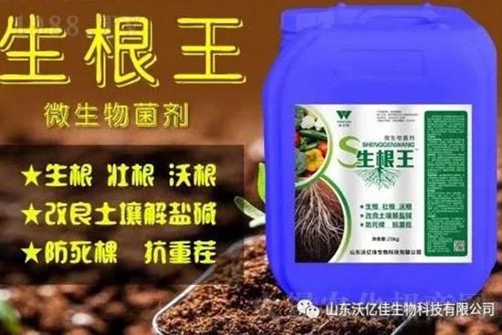 作物重茬、爛根死棵嚴(yán)重啥原因？如何改善這些難題？