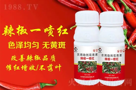 辣椒催紅增收專利產(chǎn)品！自然增紅零激素，色澤勻無黃斑