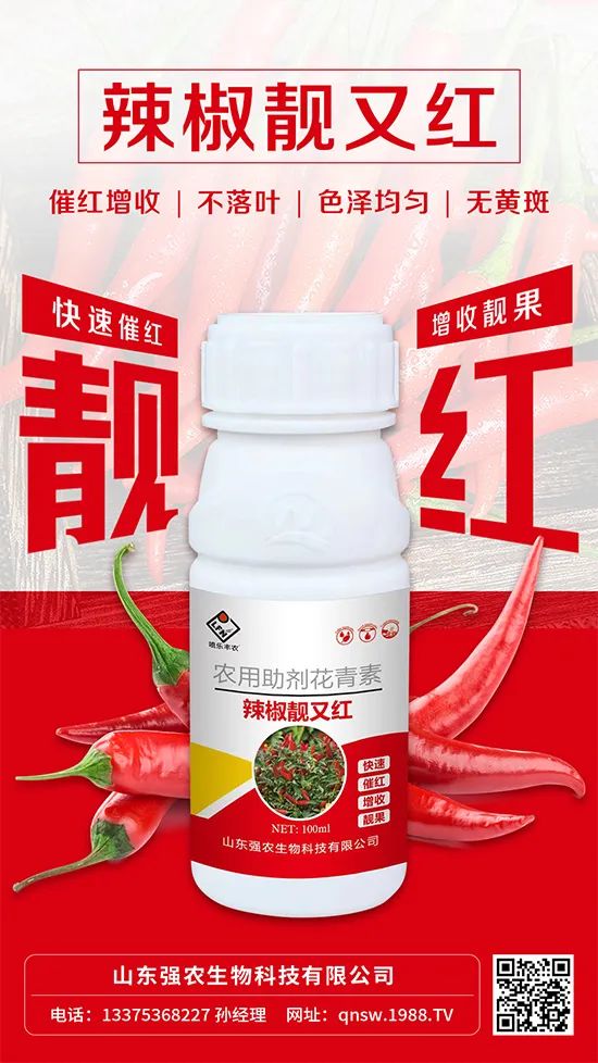辣椒催紅增收專利產(chǎn)品！自然增紅零激素，色澤勻無黃斑
