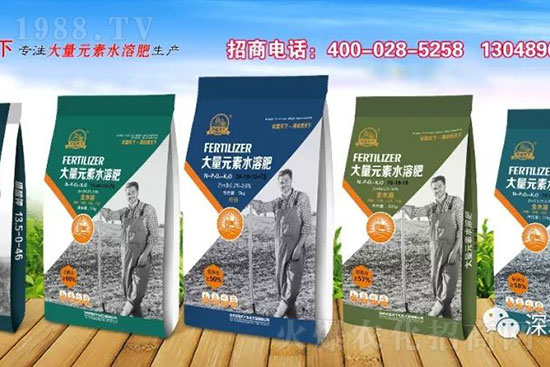 水溶肥就是用水沖沖？大錯(cuò)特錯(cuò)，正確做法該是這樣的！