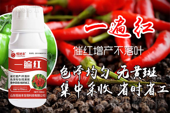 ������ʲôҪ���t���������t��ɫ�Ă����Ӻ���