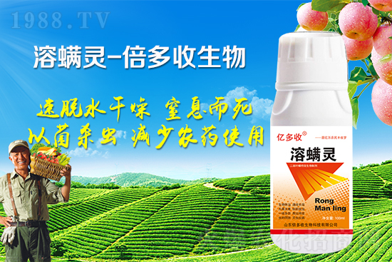 �ļ������~�����l(f��)��ô�k�������~����(y��ng)ԓ���ӷ�����