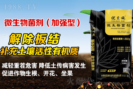 礦源黃腐酸鉀你了解多少？礦源黃腐酸鉀遇見微生物菌劑有啥奇妙反應？