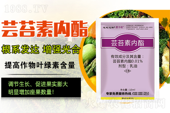 蕓苔素內(nèi)酯為啥被稱為植物救命藥？蕓苔素內(nèi)酯怎么選？