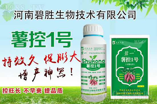 紅薯如何控旺？紅薯控旺有哪些措施？控旺產(chǎn)品怎么選？