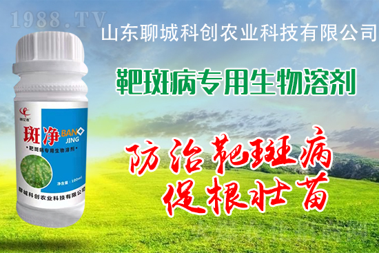 黃瓜靶斑病危害逐年加重！防治措施有哪些？