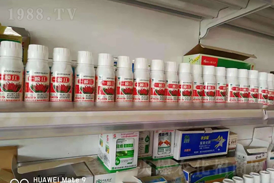 增紅率提高95%！催紅不落葉！收入翻幾番！就用辣椒一噴紅！