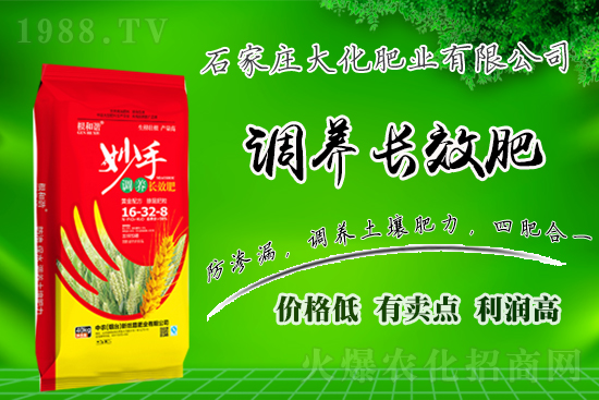 戰(zhàn)略合作再升級(jí)，石家莊大化肥業(yè)再次簽約1988.TV！