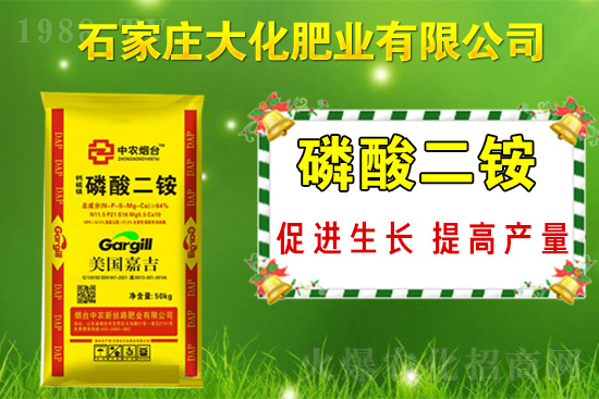 戰(zhàn)略合作再升級(jí)，石家莊大化肥業(yè)再次簽約1988.TV！